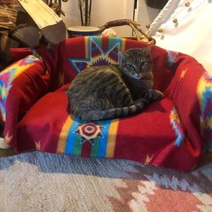 Meet your Posher, Annemieke